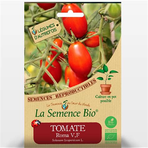 graines de tomates bio
