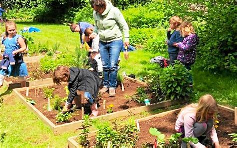 enfants jardinant dans leurs carrés potagers