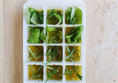 Herbes aromatiques dans des glaçons d'huile