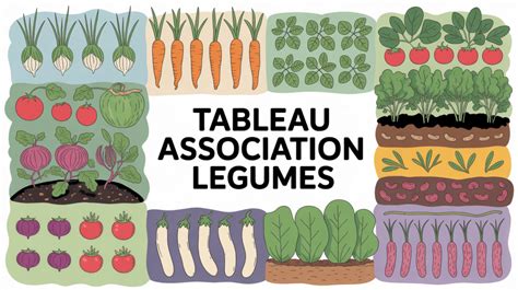 Schéma d'associations de légumes au potager