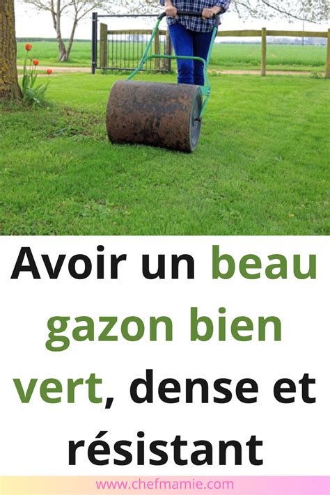 Image d'un gazon vert dense et résistant, avec des enfants jouant dessus