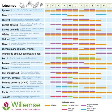 Infographie illustrant les périodes de récolte et les conditions de conservation des différents légumes mentionnés (citrouilles, pommes de terre, oignons, patates douces)