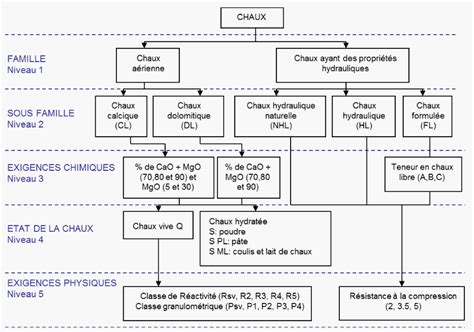 Infographie sur les différentes utilisations de la chaux dans l'industrie