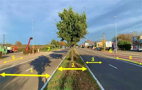 Arbre surplombant une voie publique