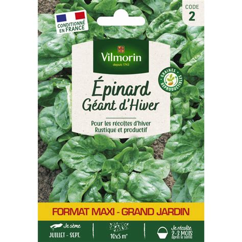image de graines d'épinard dans un sachet étiqueté