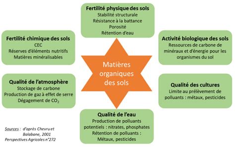 Infographie sur les différents rapports C/N des matières organiques