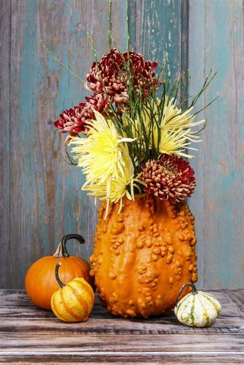 Courge évidée avec arrangement floral