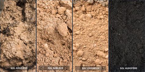 Comparaison visuelle entre sol biné et sol non biné