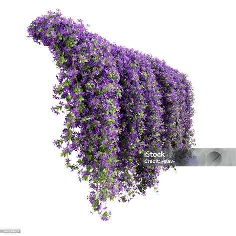 Diagramme illustrant différentes méthodes de fixation des plantes grimpantes sur une arche