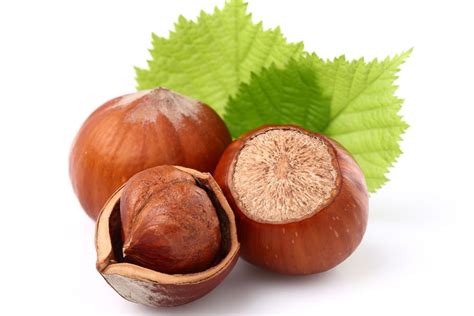 Gros plan sur une noisette entière et une noisette décortiquée