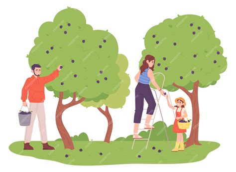 Groupe de bénévoles récoltant des fruits dans un jardin