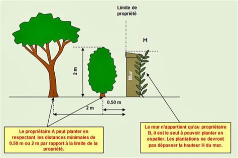 Schéma illustrant les distances légales de plantation par rapport à la limite de propriété