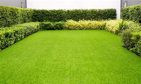 Une pelouse verte et luxuriante
