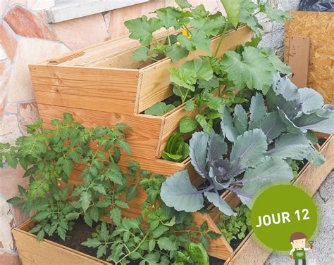 Potager composteur combinant jardinière et composteur