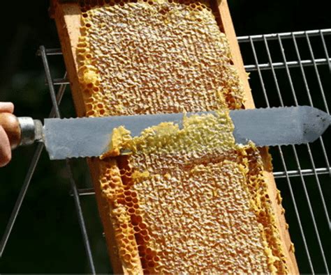 Différents outils de désoperculage : couteau, herse, fourchette