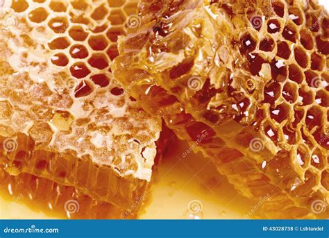 Opercules de cire avec du miel résiduel