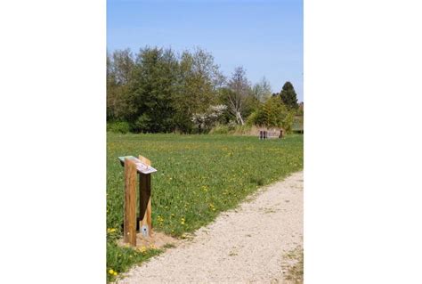Sentier des Mares du domaine du Chêne