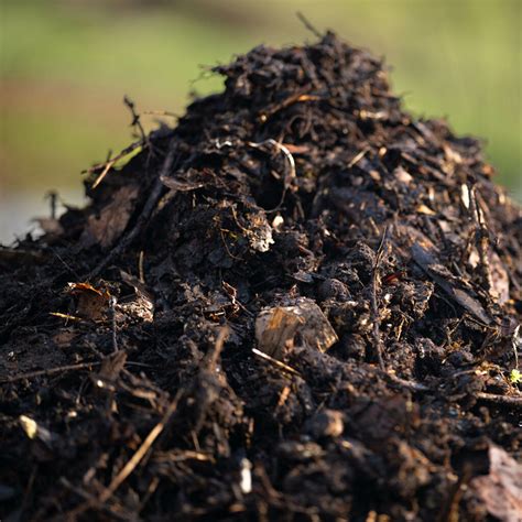 Comparaison entre un tas de compost équilibré et un tas avec trop de mousse