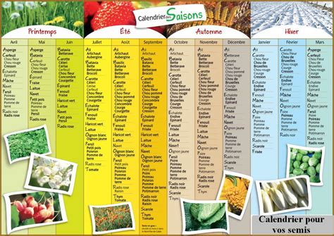 Tableau des légumes adaptés et non adaptés au semis direct dans le compost