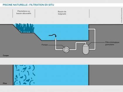 Diagramme des trois types de filtration des piscines naturelles