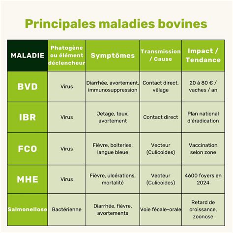 Tableau récapitulatif des maladies des épinards
