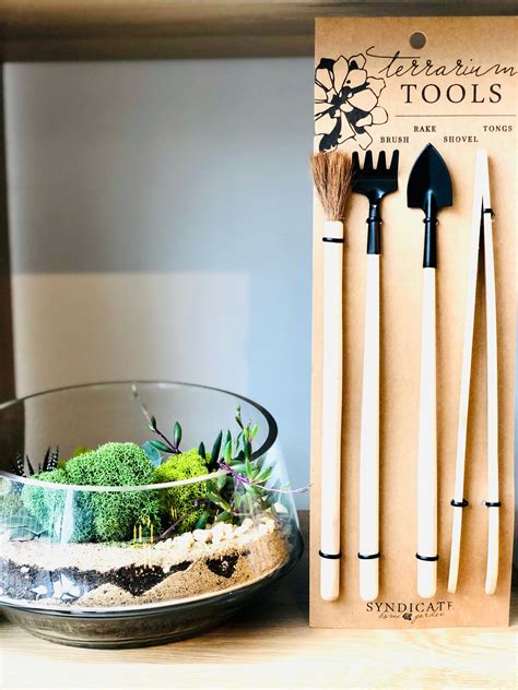 Outils de taille pour terrarium