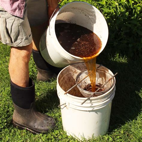 Thé de compost dans un seau