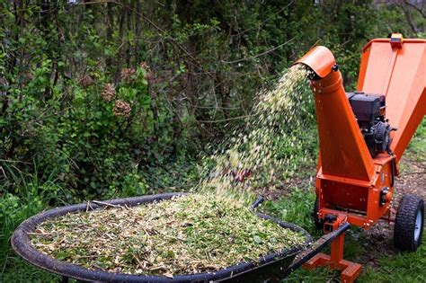 Exemple de jardin utilisant le paillage issu du broyeur de végétaux