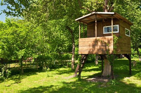 Cabane en bois moderne intégrée dans la nature