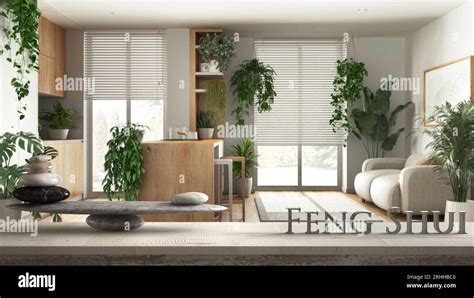 Intérieur chaleureux avec de nombreuses plantes et du mobilier en bois
