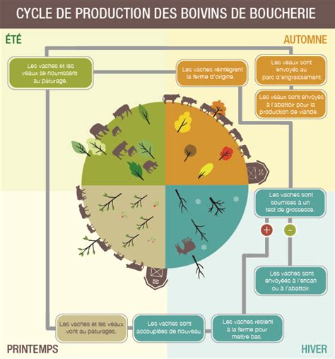 Schéma du cycle de production des terreaux Ricoter sans tourbe