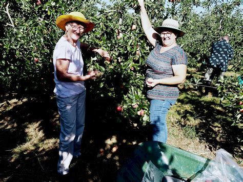 Famille en libre cueillette de pommes