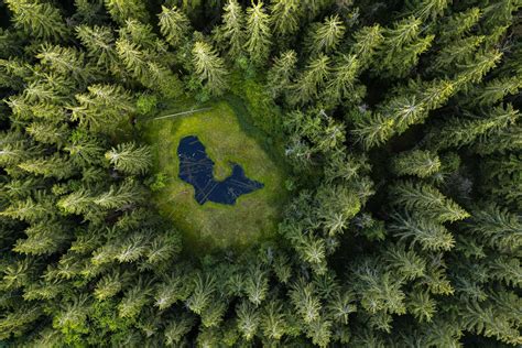 Bâtiment du CATIE au milieu de la végétation tropicale