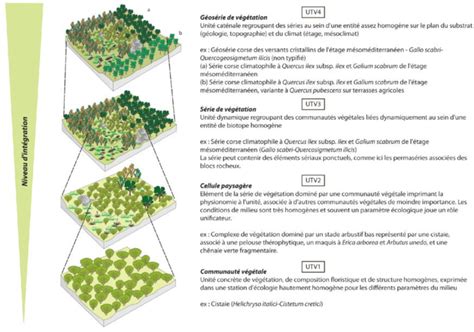 Schéma des différents métiers du paysage