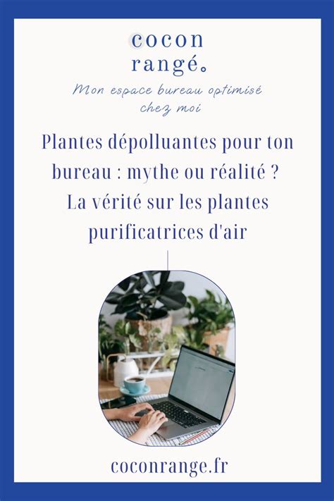 Infographie sur les plantes purificatrices d'air