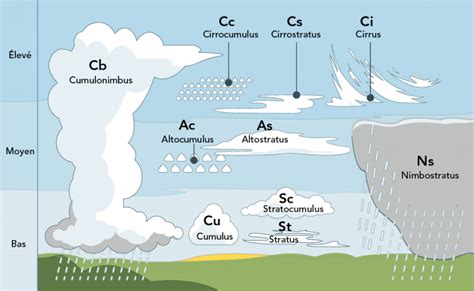 Schéma des différents types de fumiers et composts