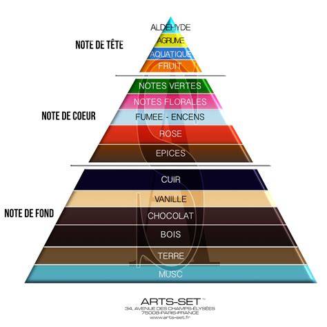 Schéma des différentes notes olfactives d'un parfum