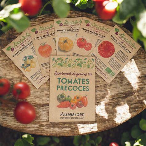 Image d'un assortiment de graines de tomates précoces biologiques