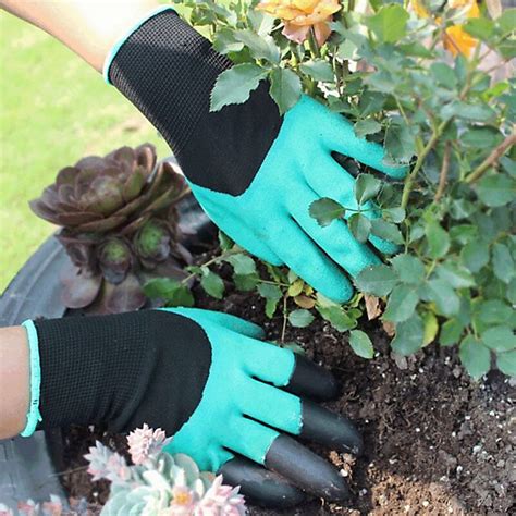 Zoom sur les griffes rigides d'un gant de jardinage