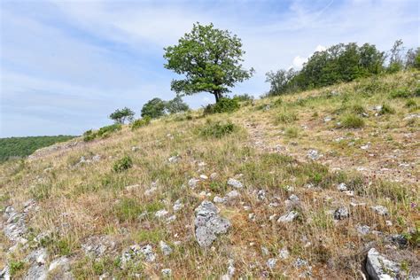 Schéma de la restauration des pelouses calcaires