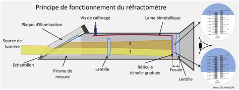 Réfractomètre et grappes de raisin pour l'analyse de maturité