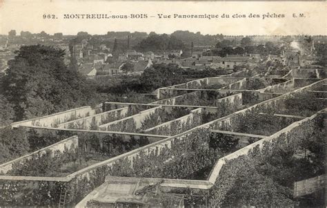Photo de murs à pêches de Montreuil