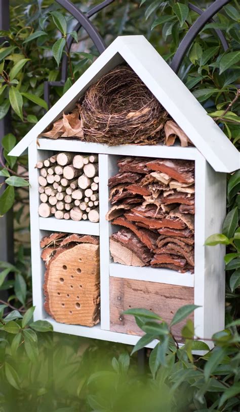 Hôtel à insectes pour biodiversité