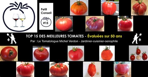 illustration de différentes variétés de tomates avec des étiquettes indiquant leur précocité