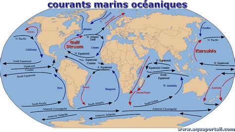 carte montrant les courants océaniques transportant le bois flotté vers les rives