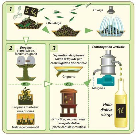 Processus d'extraction de l'huile d'olive par centrifugation