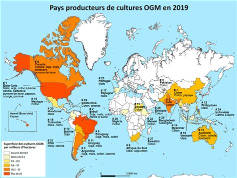 Carte des principaux pays producteurs et importateurs d'amandes