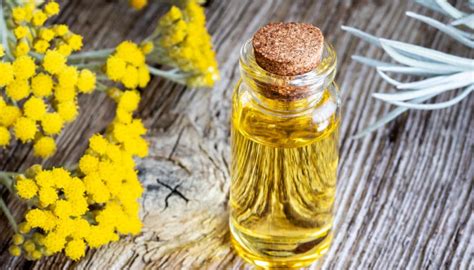 Huile essentielle d'Immortelle des dunes