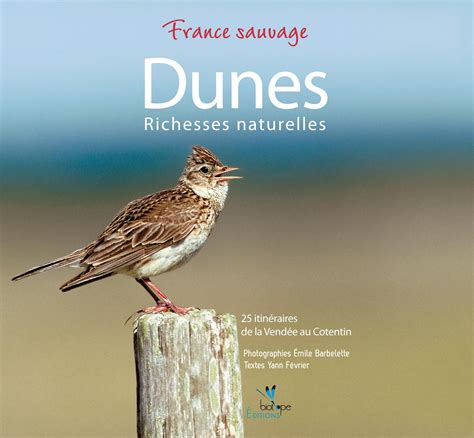 Faune typique des dunes