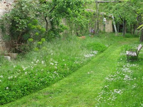 jardin fleuri avec zones de fauche tardive